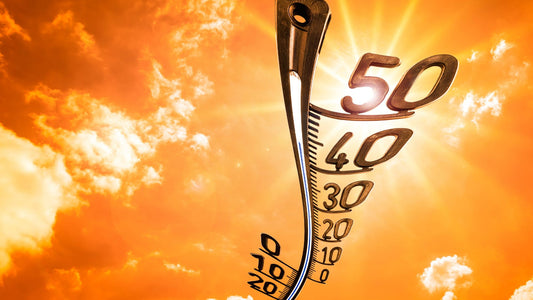 Protecting Your Workforce from Extreme Heat: A Vital Business Imperative