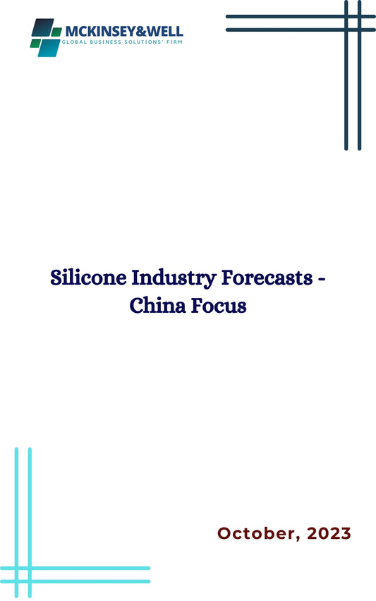 Silicone Industry Forecasts - China Focus