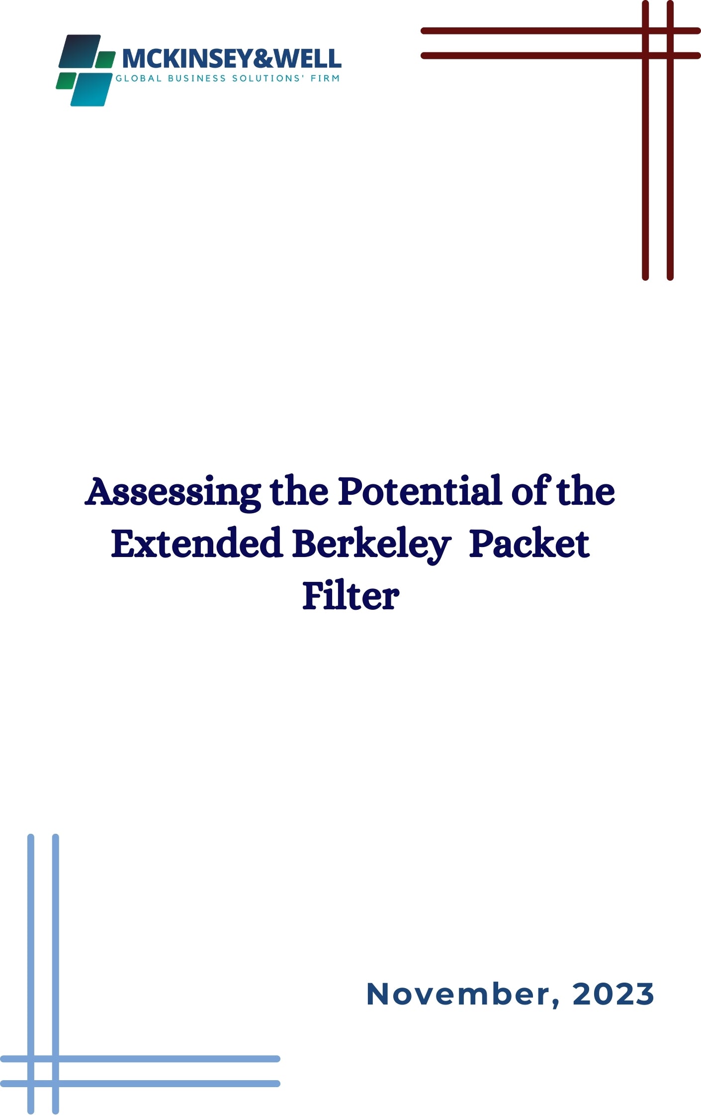 Assessing the Potential of the Extended Berkeley  Packet Filter