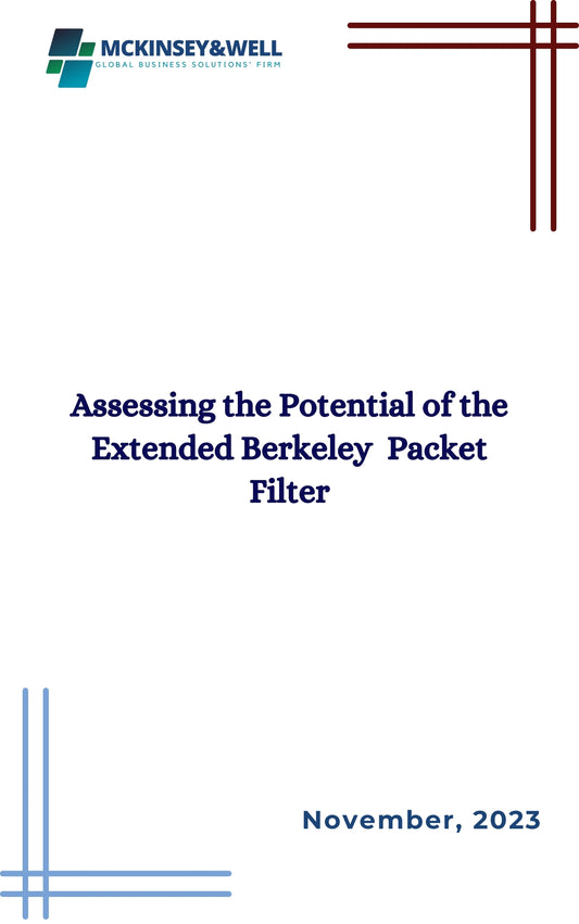 Assessing the Potential of the Extended Berkeley  Packet Filter