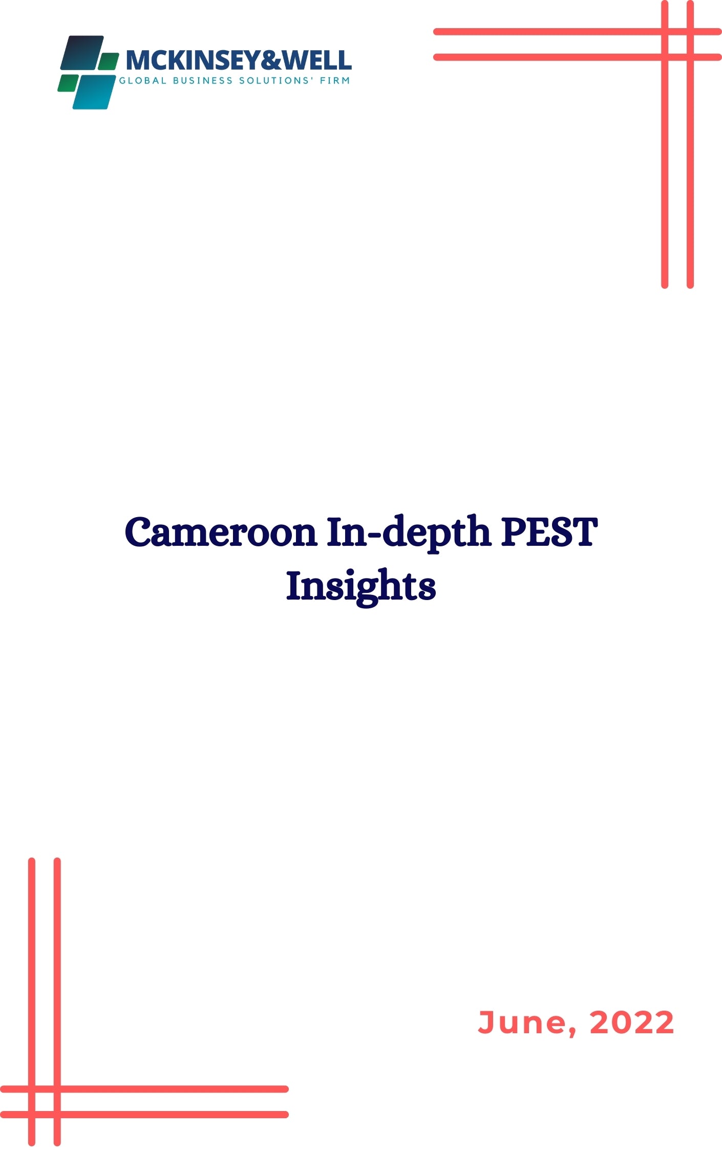 Cameroon In-depth PEST Insights